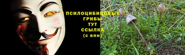кристаллы Елабуга
